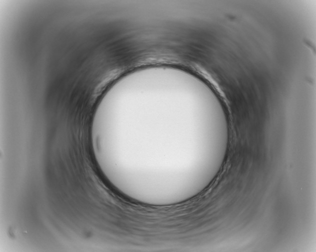 X0000096450019200801241150