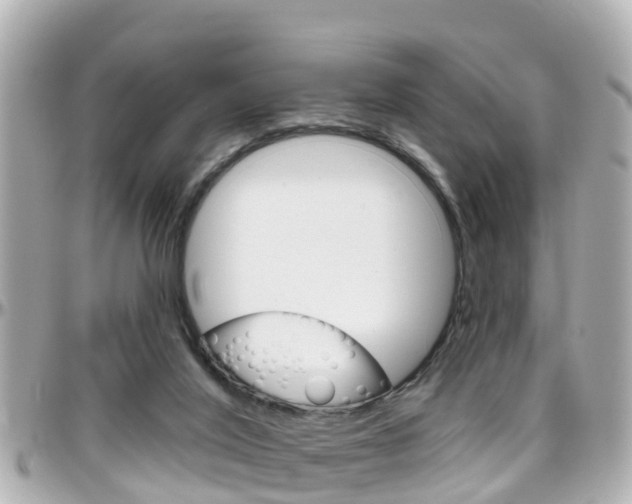 X0000096450020200801241150