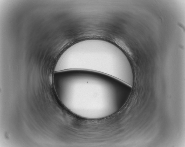 X0000096450021200801241150