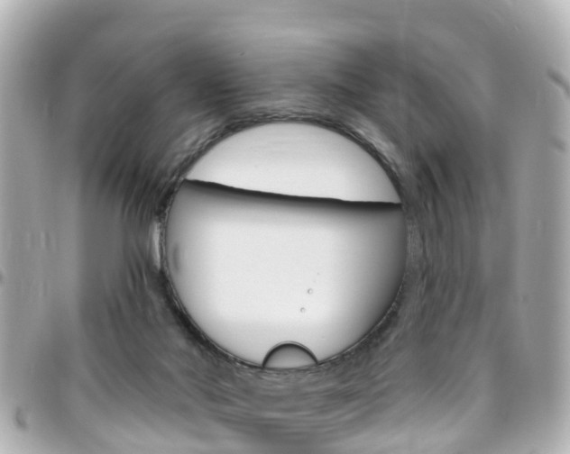 X0000096450022200801241150