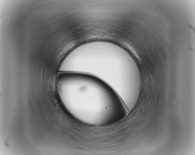 X0000096450023200801241150