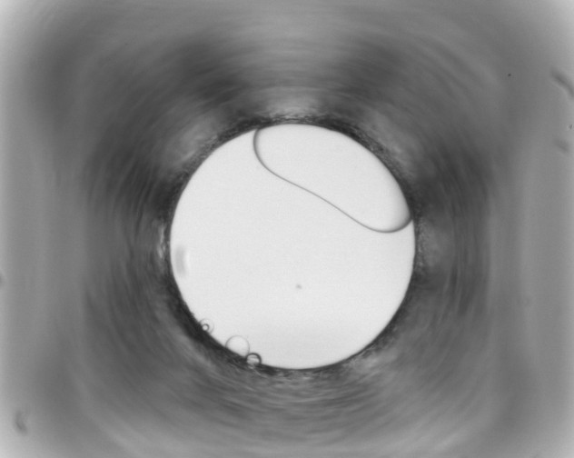 X0000096450024200801241150