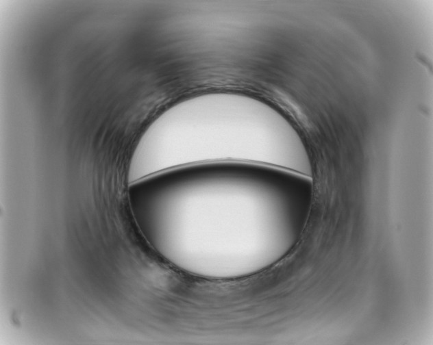 X0000096450025200801241150