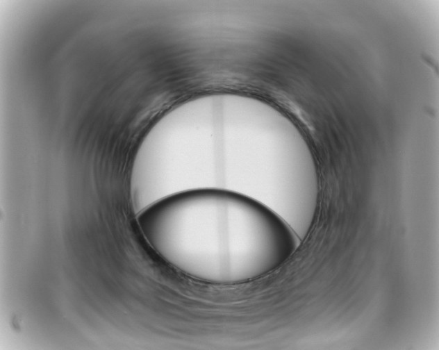 X0000096450027200801241150
