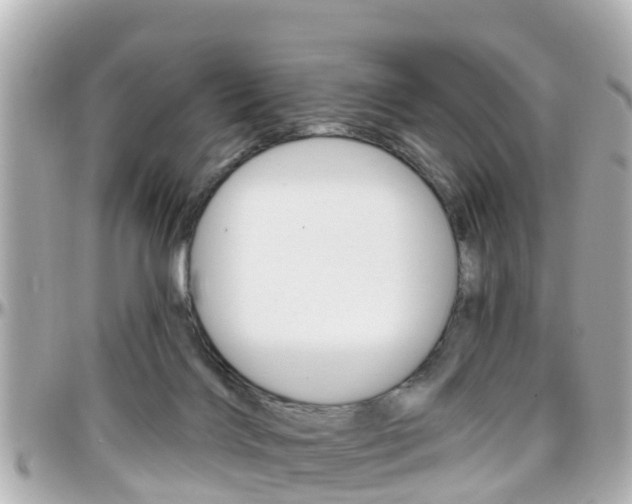 X0000096450028200801241150