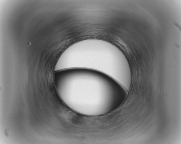 X0000096450029200801241150