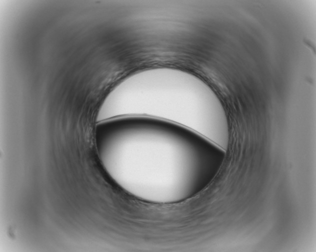 X0000096450031200801241150
