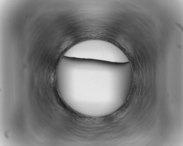 X0000096450032200801241150