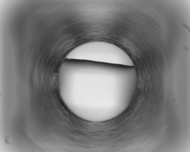 X0000096450034200801241150