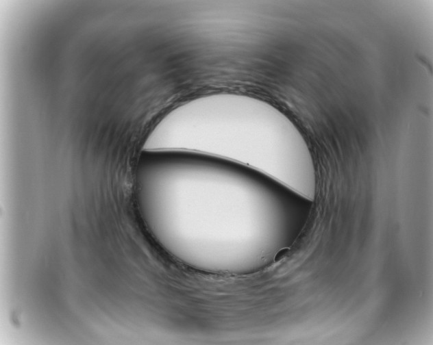 X0000096450040200801241150