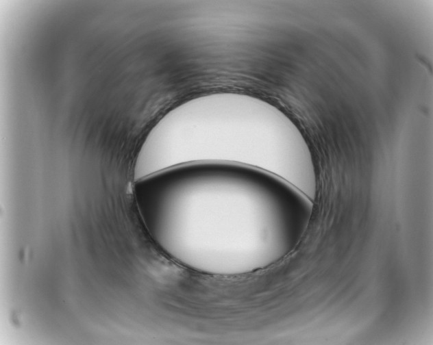 X0000096450041200801241150