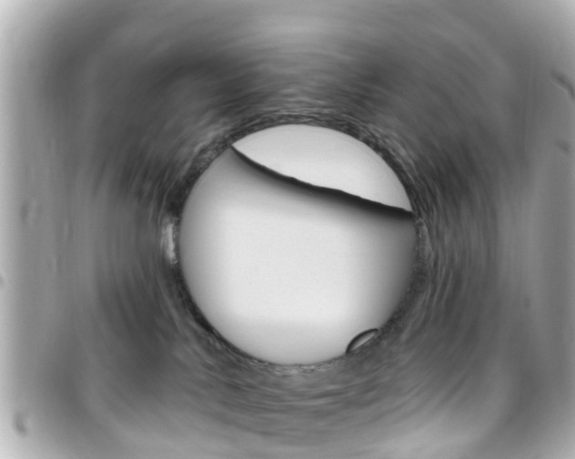 X0000096450042200801241150