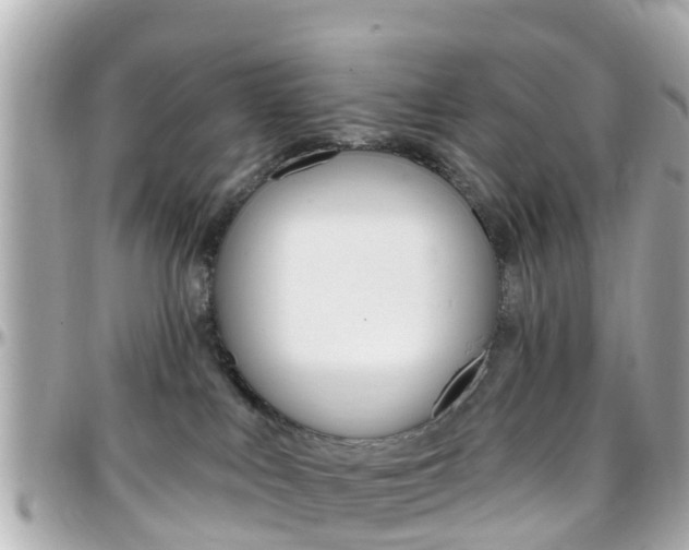 X0000096450043200801241150