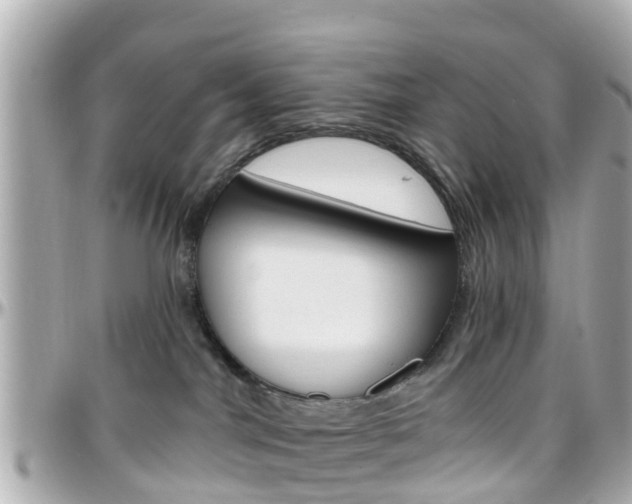 X0000096450044200801241150