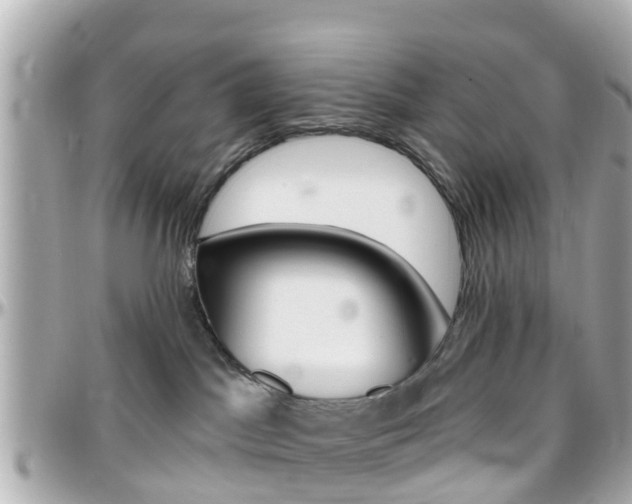 X0000096450045200801241150