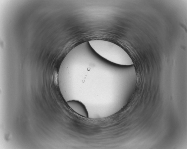 X0000096450046200801241150