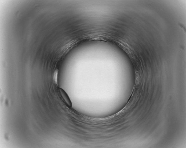 X0000096450047200801241150