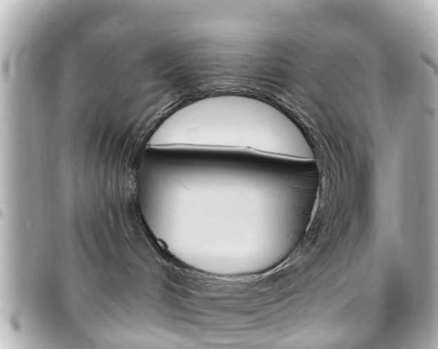 X0000096450048200801241150