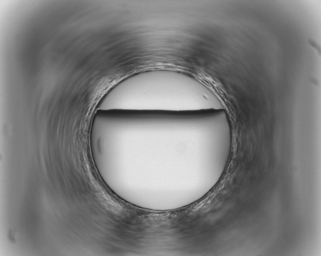 X0000096450049200801241149