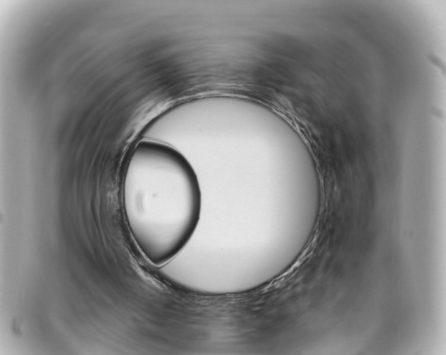 X0000096450050200801241149