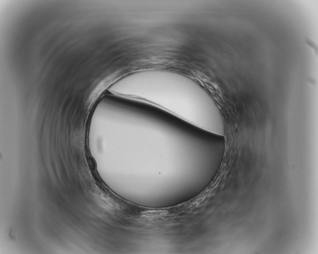 X0000096450051200801241149