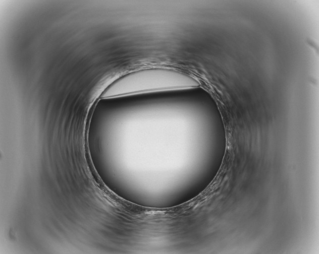 X0000096450052200801241149