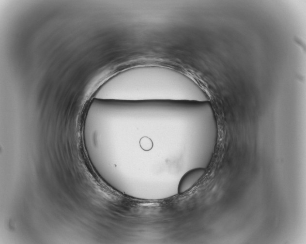 X0000096450053200801241149