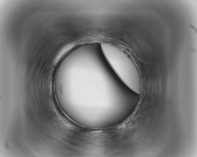 X0000096450054200801241149