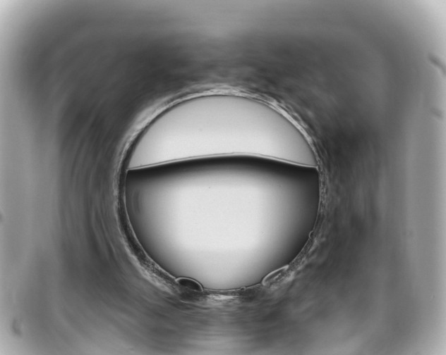 X0000096450055200801241149