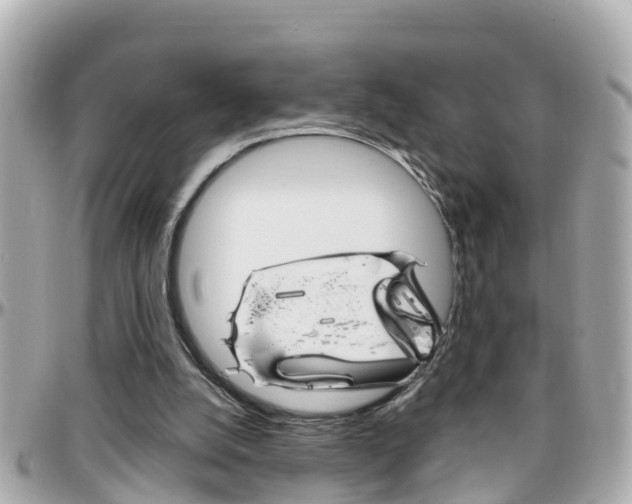 X0000096450056200801241149
