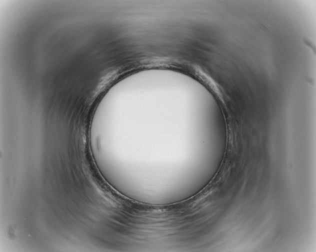 X0000096450059200801241149