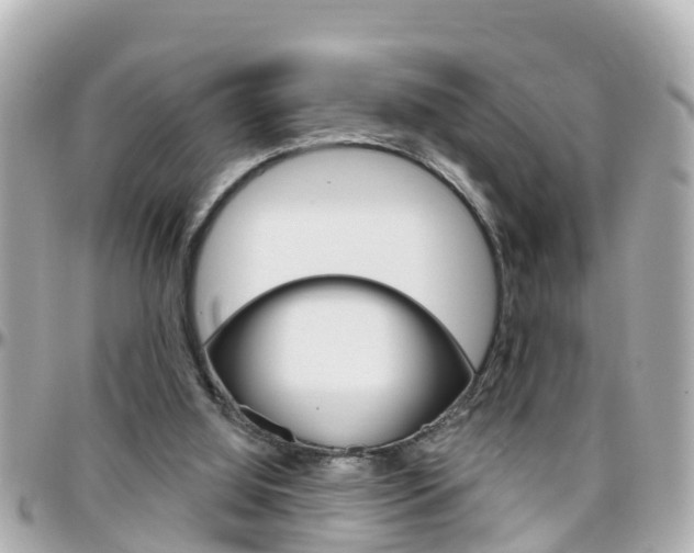 X0000096450060200801241149