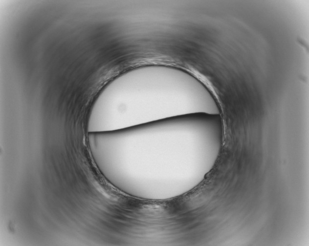X0000096450061200801241149