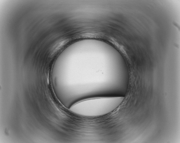 X0000096450062200801241149