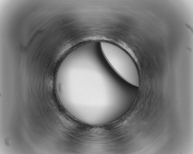 X0000096450063200801241149