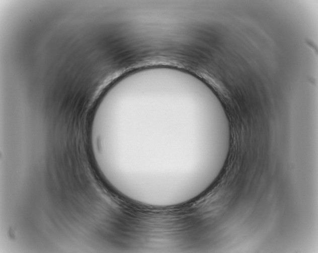 X0000096450064200801241149