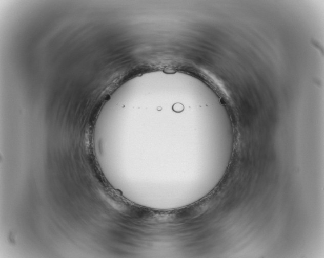 X0000096450065200801241149