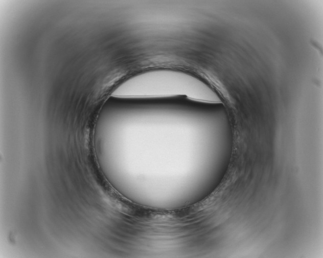 X0000096450066200801241149