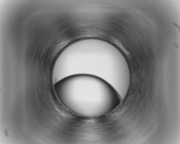 X0000096450068200801241149