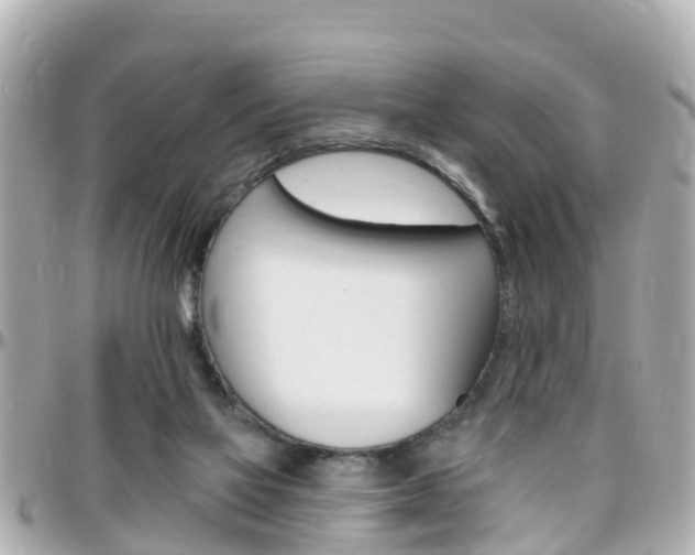 X0000096450069200801241149