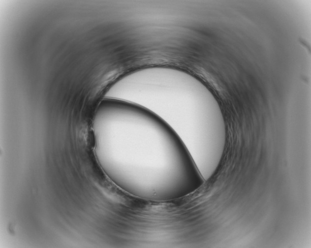 X0000096450072200801241149