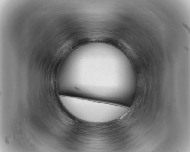 X0000096450074200801241149