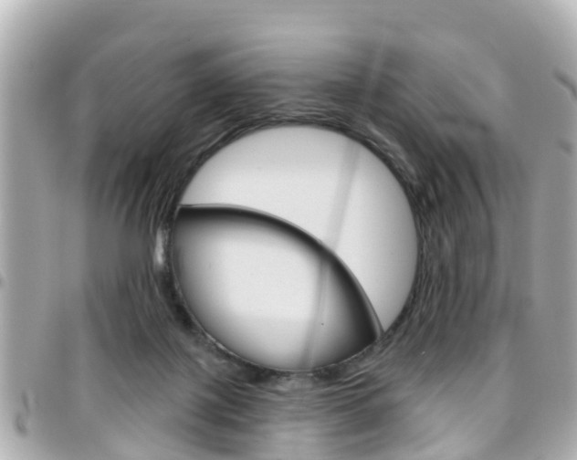 X0000096450075200801241149