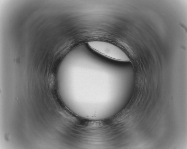 X0000096450077200801241149