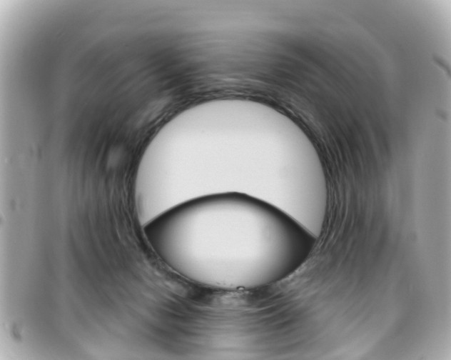 X0000096450078200801241149
