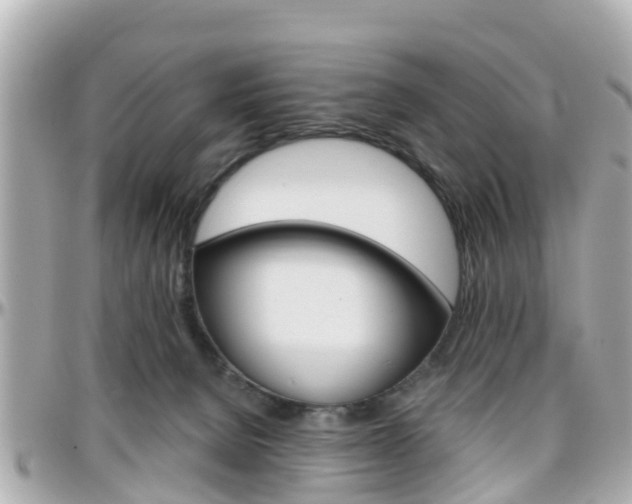 X0000096450080200801241150
