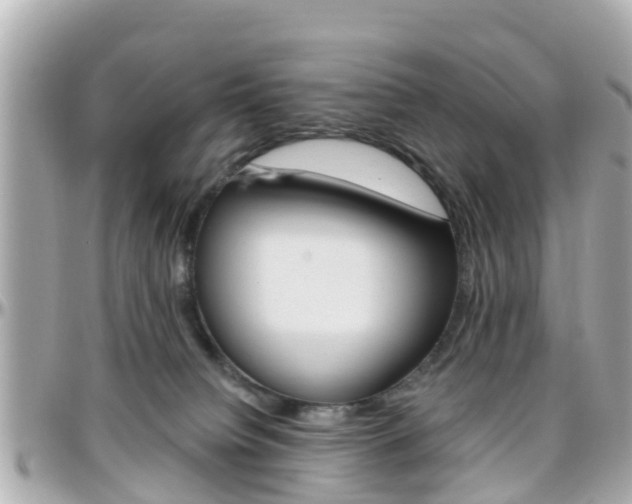 X0000096450084200801241150