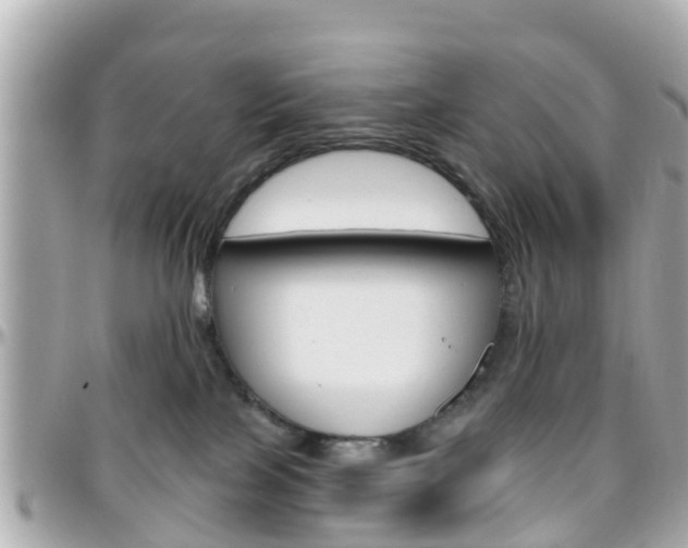X0000096450089200801241150