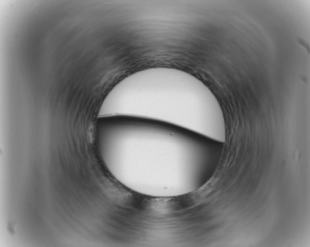 X0000096450090200801241150