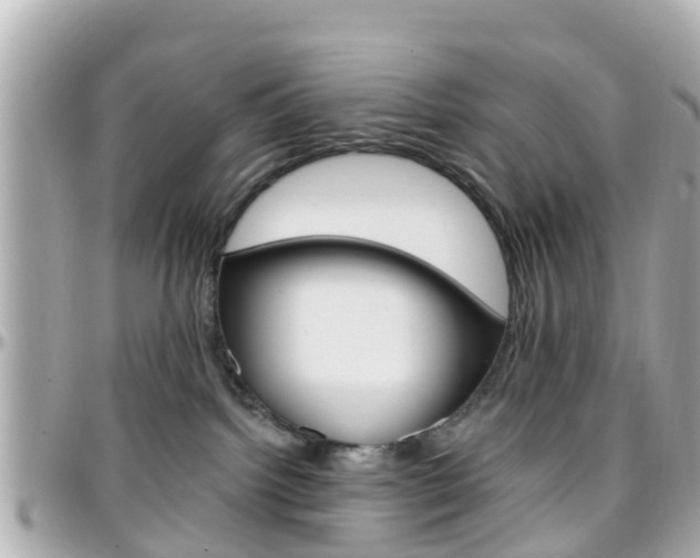 X0000096450092200801241150